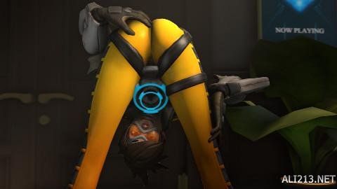 多艺术家的 多艺术家的