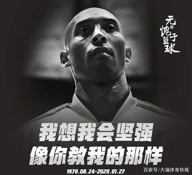 变量纳入统