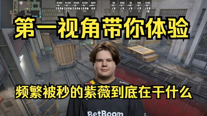 段推进成长